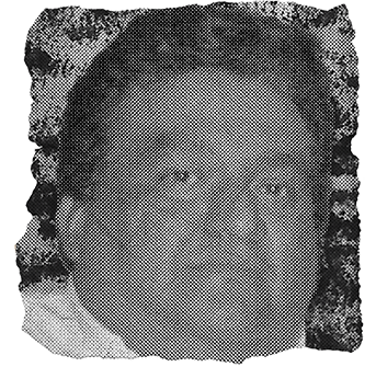 12_armando_saldana_morales