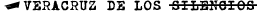 Veracruz de los Silencios